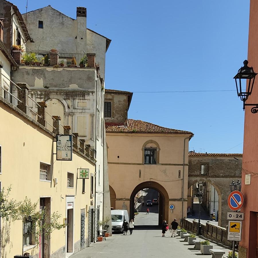 La Chascona Di Farnese Casa Di Tufo Nel Borgo Apartment Екстериор снимка
