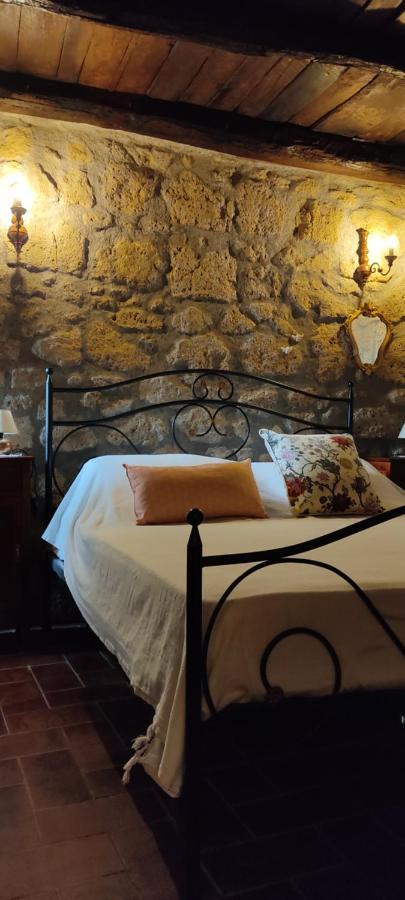 La Chascona Di Farnese Casa Di Tufo Nel Borgo Apartment Екстериор снимка