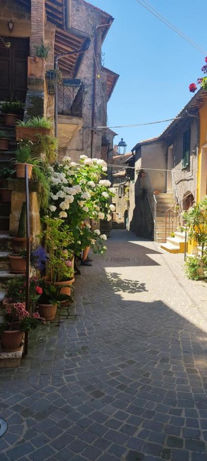 La Chascona Di Farnese Casa Di Tufo Nel Borgo Apartment Екстериор снимка